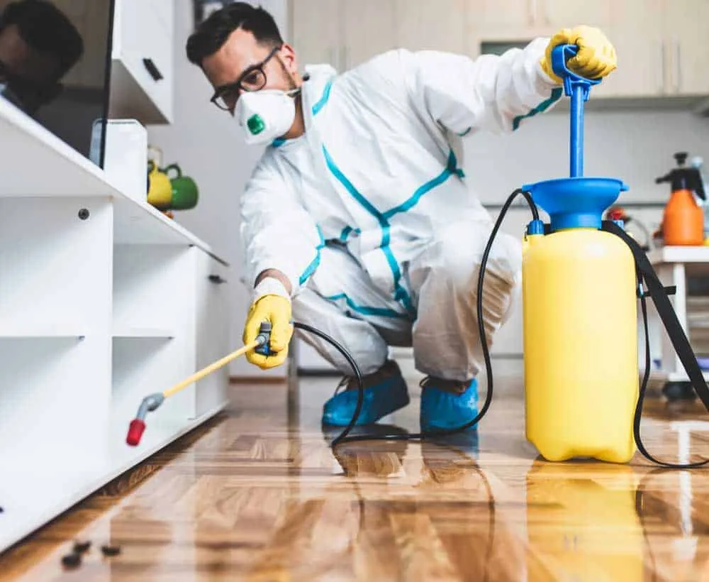 Pest control professional treating the interior of a Central Texas home